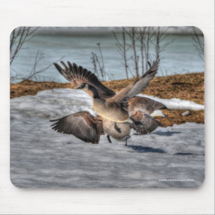 Mousepad Lutando com o Canadá sobre a fauna selvagem em gan
