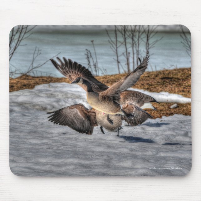 Mousepad Lutando com o Canadá sobre a fauna selvagem em gan (Frente)