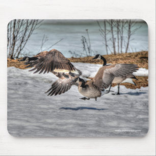 Mousepad Lutando com o Canadá sobre a fauna selvagem em gan