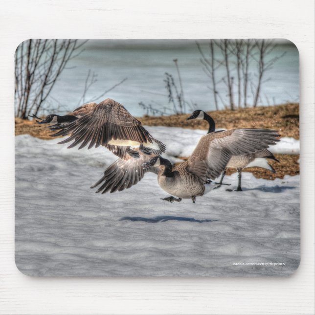 Mousepad Lutando com o Canadá sobre a fauna selvagem em gan (Frente)