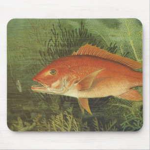 Mousepad Lutiano Vermelho por Kilbourne, Vida Marinha Antig