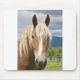Mousepad Luz - cavalo marrom