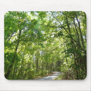 Mousepad Luz do sol sobre o caminho florestal no Centennial