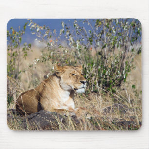 Mousepad Luz em repouso