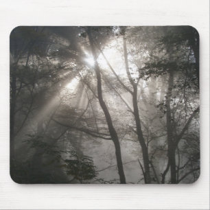 Mousepad Luz Solar Através das Árvores Floresta Escura