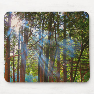 Mousepad Luz Solar Atravessando os Pinheiros