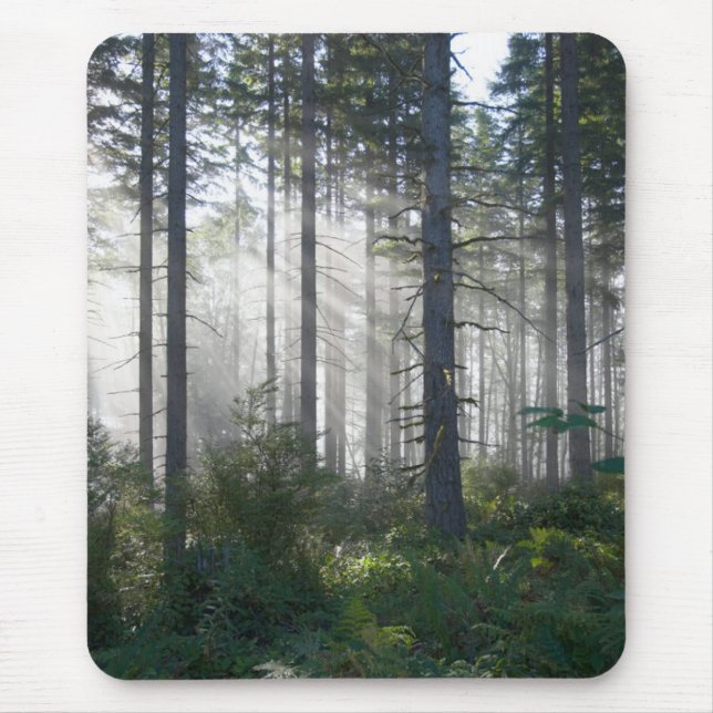 Mousepad Luz solar que quebra através de uma floresta (Frente)
