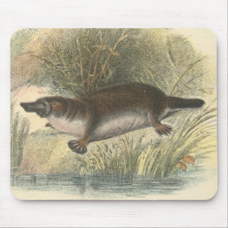 Mousepad Lydekker - Platypus