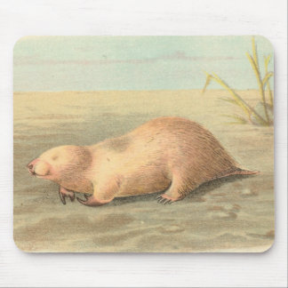 Mousepad Lydekker - toupeira marsupial