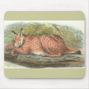 Mousepad Lynx, Felis Lynx