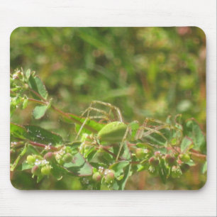 Mousepad Lynx Spider