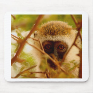 Mousepad Macaco atrevido.