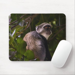 Mousepad Macaco azul, Zanzibar