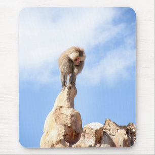Mousepad Macaco babuíno no topo de uma montanha