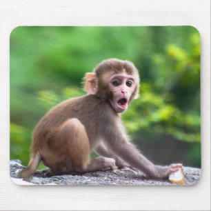 Mousepad Macaco-bebê bonito e adorável