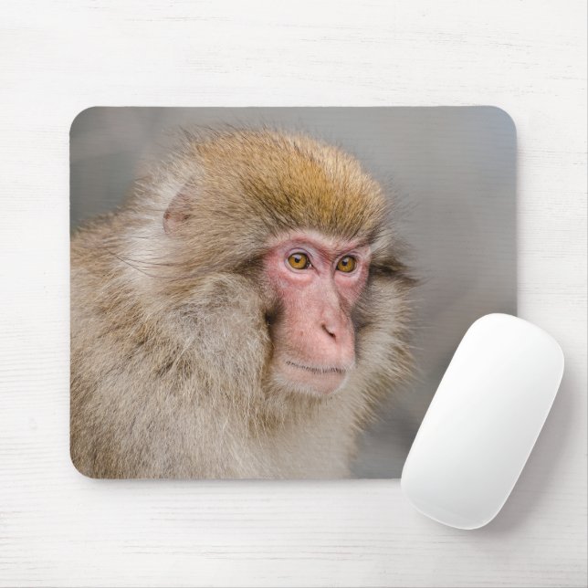 Mousepad Macaco Brown Snow, fotografia japonesa (Com mouse)