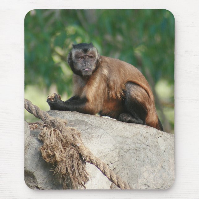 Mousepad Macaco Capuchin, Cute Mas Cranky (Frente)