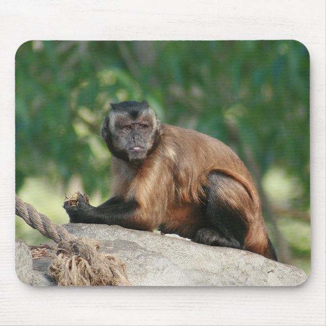Mousepad Macaco Capuchin, Cute Mas Cranky (Frente)