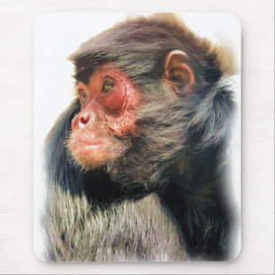 MOUSEPAD MACACO DE ARANHA