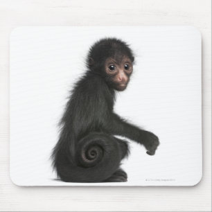 Mousepad macaco de aranha Vermelho-enfrentado - paniscus do
