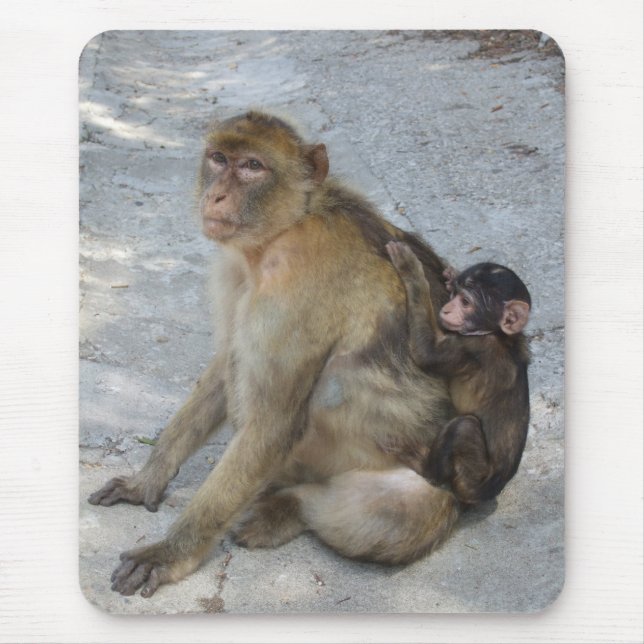 Mousepad Macaco de Gibraltar (Frente)