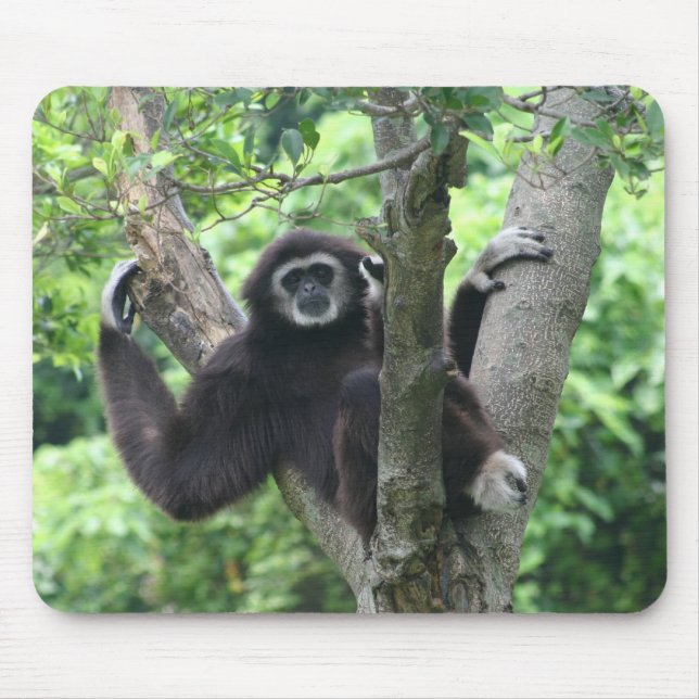 Mousepad Macaco de ondulação (Frente)