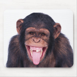 Mousepad Macaco de riso