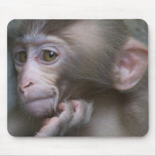 Mousepad Macaco do bebê