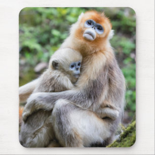 Mousepad Macaco Dourado de Nariz Arrebitado com Bebê