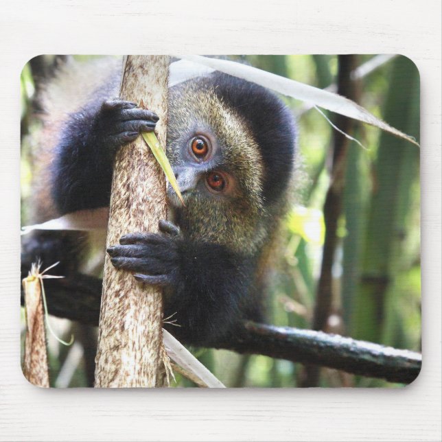 Mousepad Macaco dourado na selva africana (Frente)