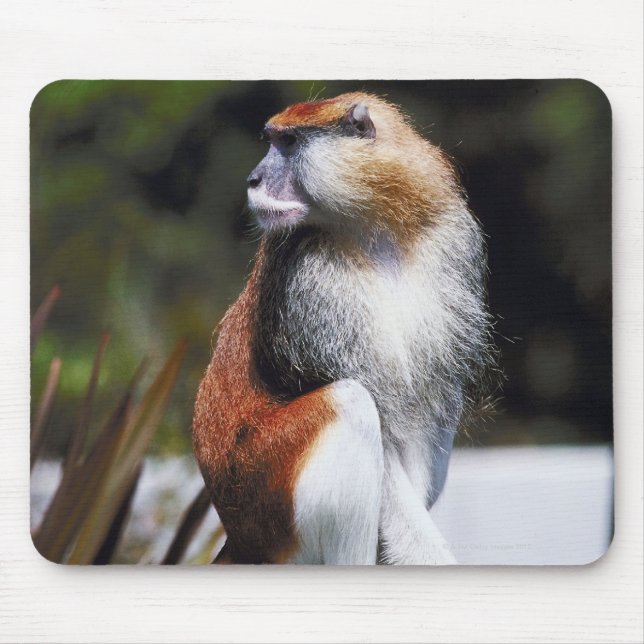 Mousepad Macaco-gato (Frente)