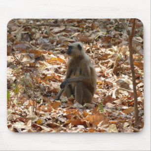 Mousepad Macaco na estação seca