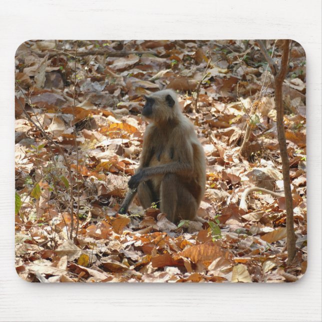 Mousepad Macaco na estação seca (Frente)