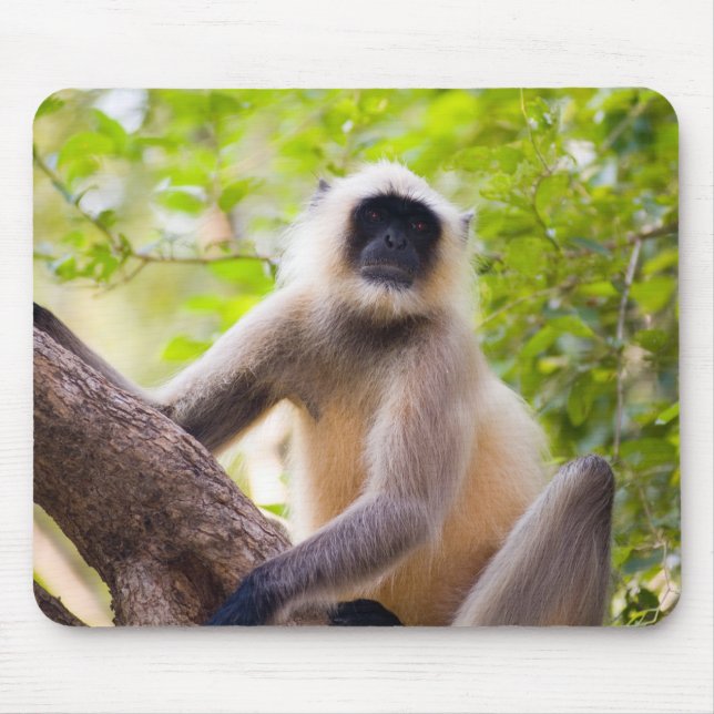 Mousepad Macaco na selva do Parque Nacional de Ranthambore (Frente)