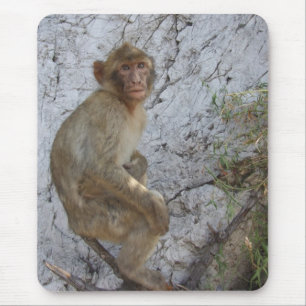 Mousepad Macaco-papa de Gibraltar