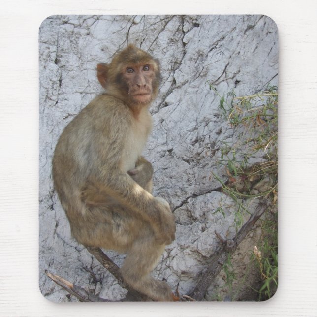 Mousepad Macaco-papa de Gibraltar (Frente)