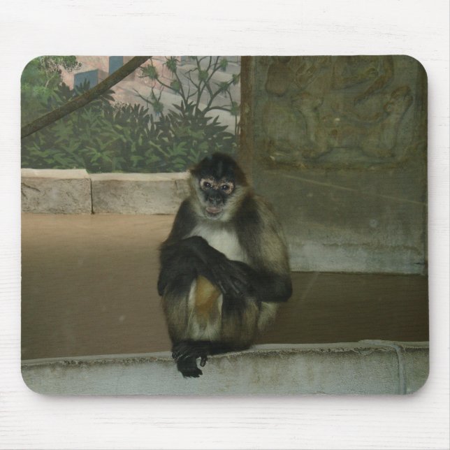 Mousepad Macaco Sentado Lindamente (Frente)