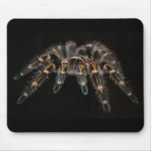 Mousepad macaco tarantula