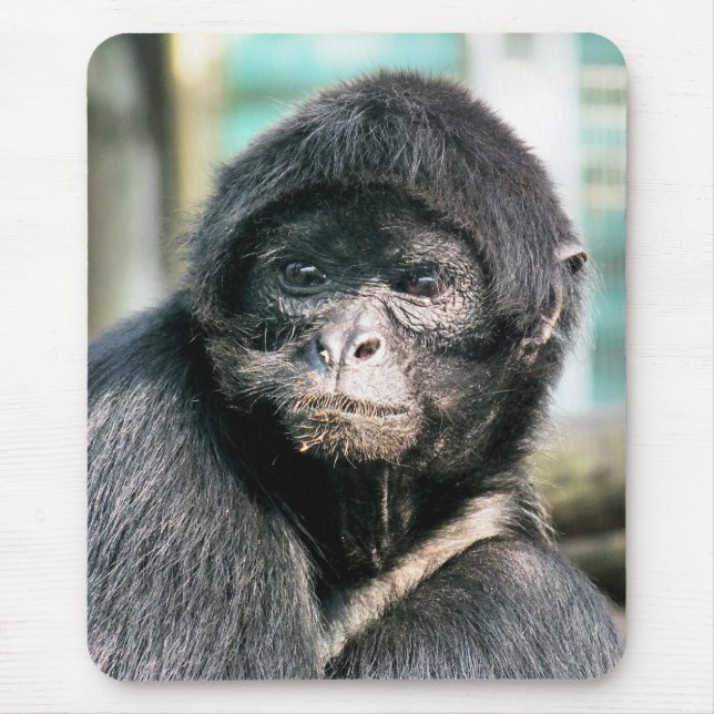 MOUSEPAD MACACOS (Frente)