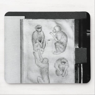 Mousepad Macacos, do álbum de Vallardi