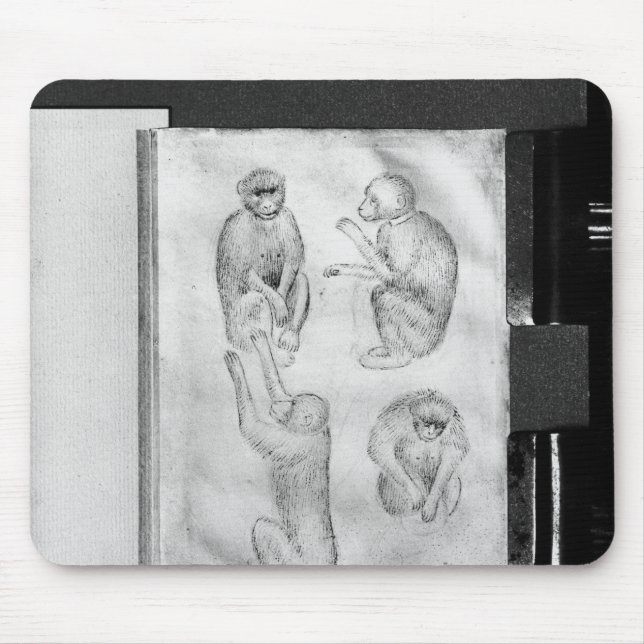 Mousepad Macacos, do álbum de Vallardi (Frente)