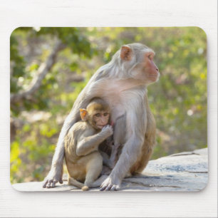 Mousepad Macacos Rhesus Macaque, mãe e bebê, na parede