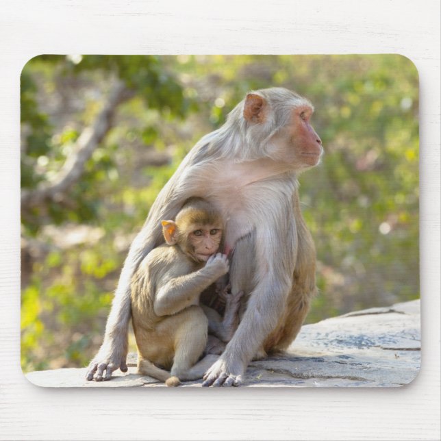 Mousepad Macacos Rhesus Macaque, mãe e bebê, na parede (Frente)
