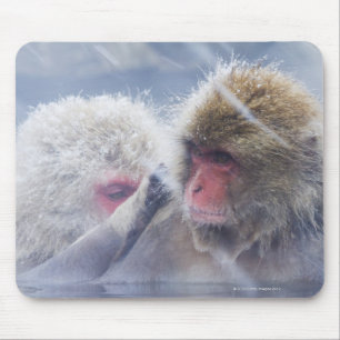 Mousepad Macaques japoneses (fuscata do Macaca) que