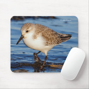 Mousepad Maçarico-cinzento Fofo Andarilho da Praia