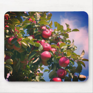 Mousepad Maçãs Vermelhas Na Natureza Da Árvore