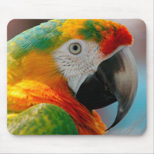 Mousepad Macaw bonito