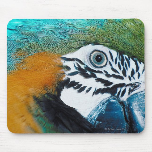Mousepad Macaw-e-amarelo (Frente)