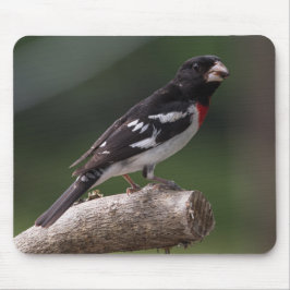Mousepad Macho de Grosbeak quebrado por Rosa