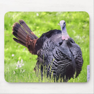 Mousepad Macho Turquia Fechar